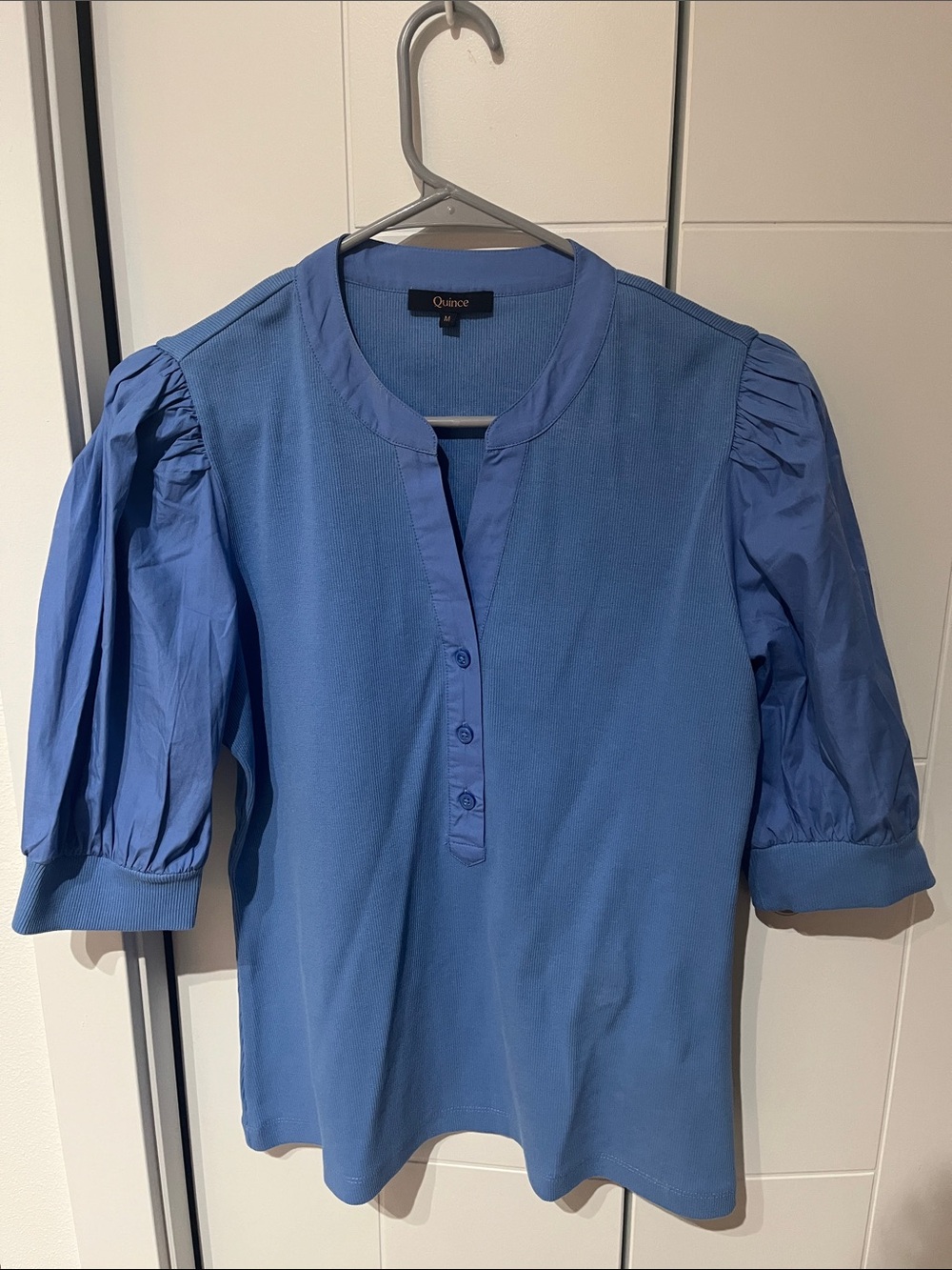 Quince Blue Puff-Sleeve Henley Blouse